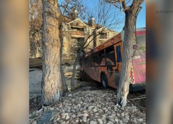 RTD Bus Crashes into Pond in Aurora, Injuring Driver